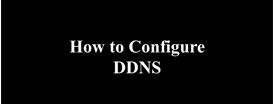 How to online through DDNS?